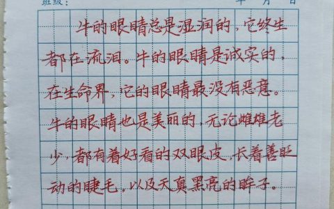 如何快速练字漂亮，如何快速练字漂亮高三生