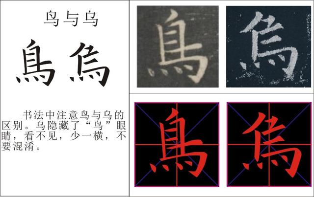 鸟字旁的字和什么有关系呢，鸟字旁的字和什么有关系呢怎么读