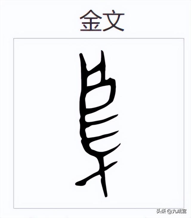 鸟字旁的字和什么有关系呢，鸟字旁的字和什么有关系呢怎么读