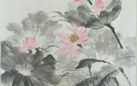 荷花简笔画图片大全_简单_漂亮，幼儿园荷花简笔画图片