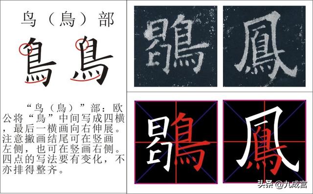 鸟字旁的字和什么有关系呢，鸟字旁的字和什么有关系呢怎么读