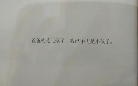 城南旧事的读后感500字左右，城南旧事的读后感500字左右五年级！