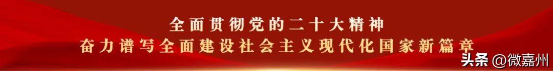 双十一活动策划方案，双十一活动策划方案模板！