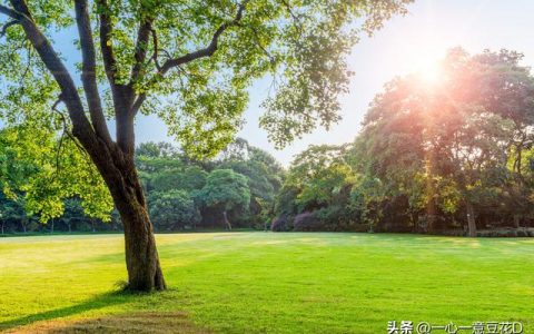 赞美太阳的诗句和名言，赞美太阳的诗句现代！