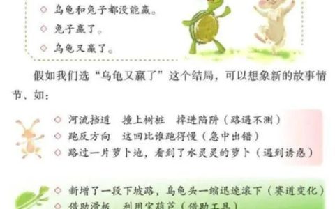 龟兔赛跑的作文300字，龟兔赛跑的作文300字左右！