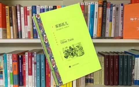 雾都孤儿读书笔记摘抄及感悟，雾都孤儿读书笔记摘抄及感悟英文！