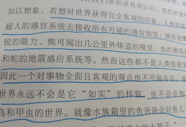 我的读书故事演讲稿3分钟，我的读书故事演讲稿3分钟一年级！