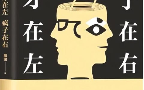 天才在左疯子在右读后感800字，天才在左疯子在右读后感800字大学生！