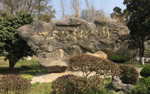 南京游记作文600字，南京游记作文600字梅花山