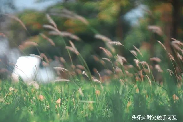 起风了的歌词完整版，起风了的歌词完整版图片