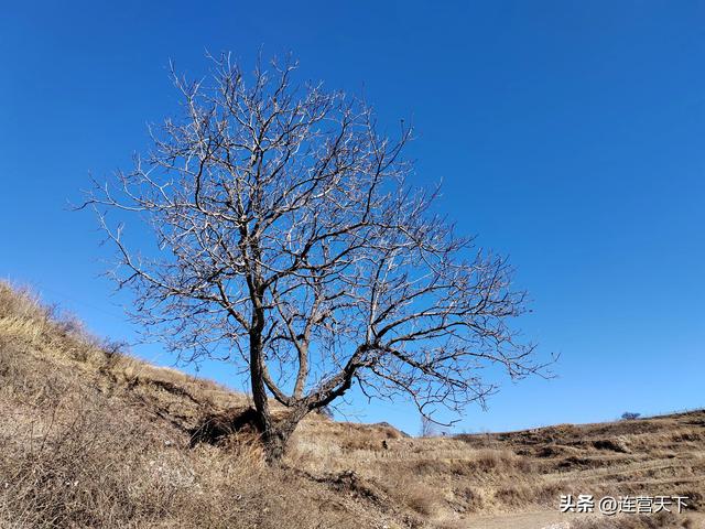 情人节的诗句_古诗，情人节的诗句古诗大全