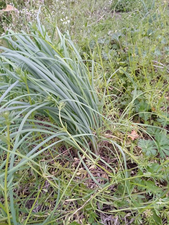 平平淡淡才是真,简简单单才幸福，平平淡淡的生活感悟唯美句子