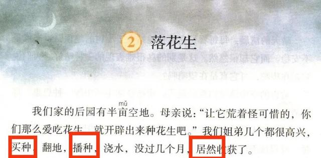 新课标教案，新课标教材？